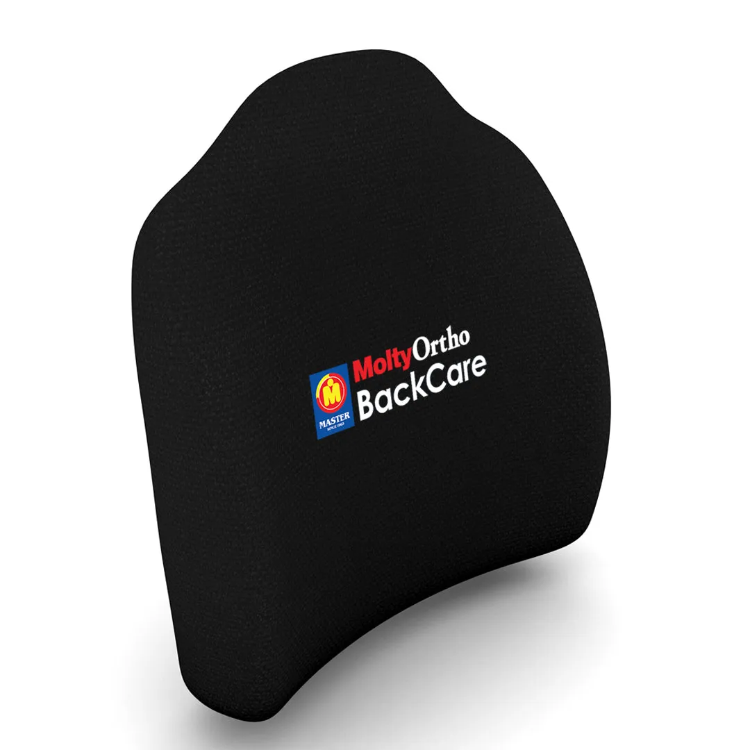 Back Care Cushion