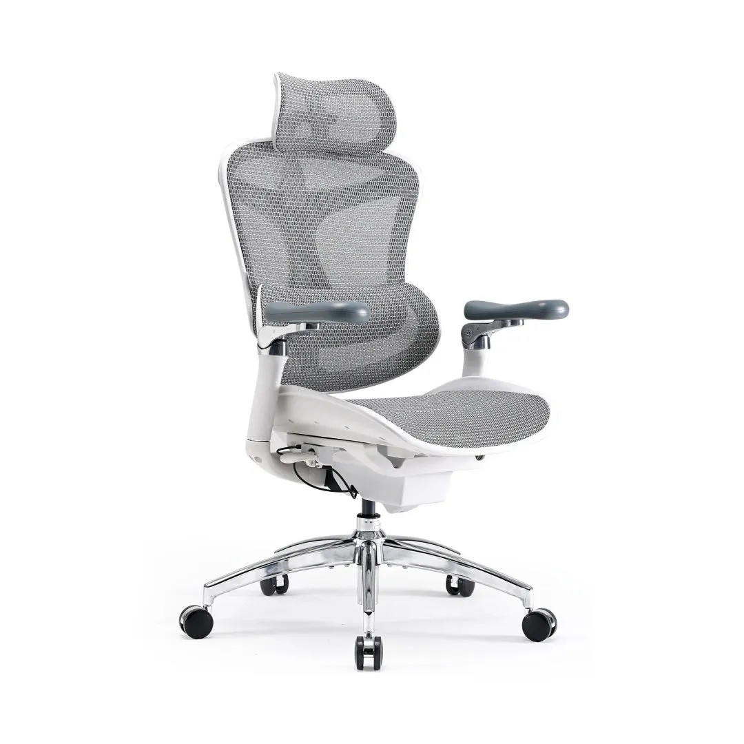 Doro C300 Pro Ergonomic Chair