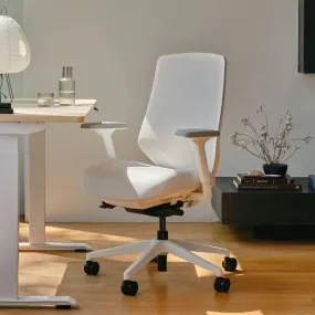 Ergonomic Chair Pro