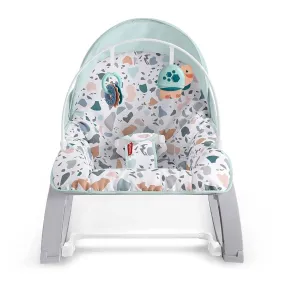 Fisher-Price Infant-to-Toddler Rocker